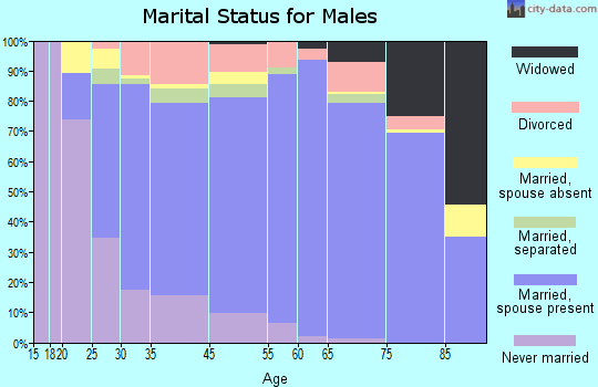 Bristol marital status for males