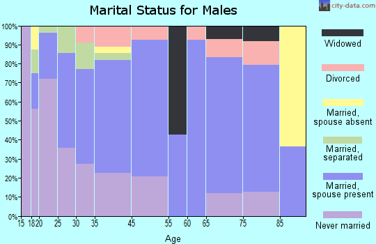 Brookneal marital status for males