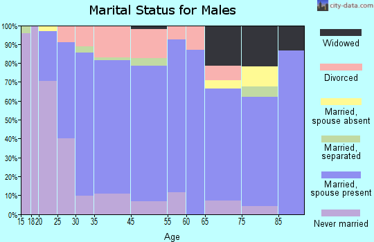Buena Vista marital status for males