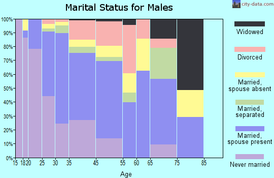 Bull Run marital status for males