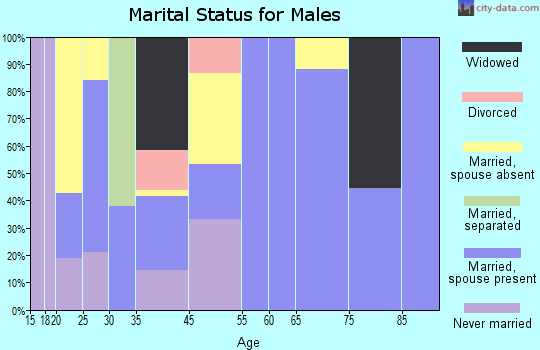 Charlotte Court House marital status for males