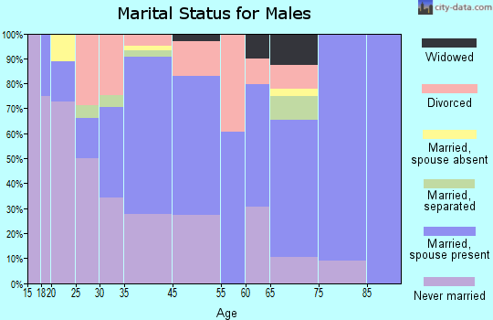 Chase City marital status for males