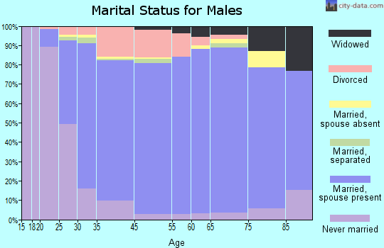 Chester marital status for males