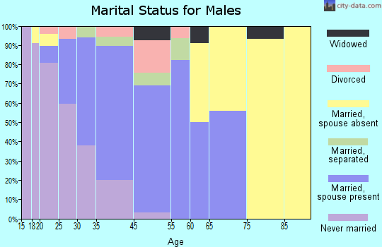 Chesterfield Court House marital status for males