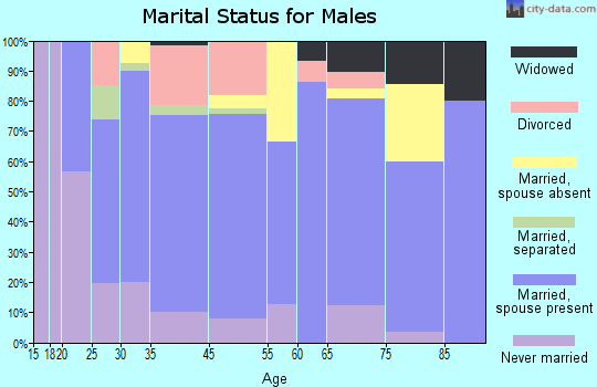 Chilhowie marital status for males
