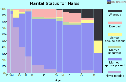 Christiansburg marital status for males