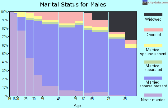 Palmdale marital status for males
