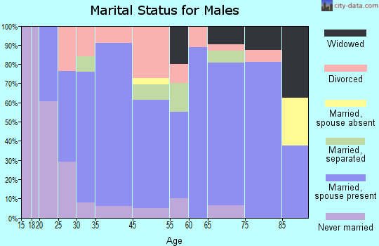Craigsville marital status for males