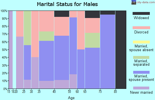 Drakes Branch marital status for males