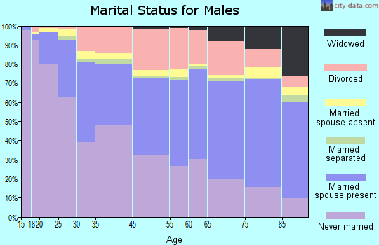 Palm Springs marital status for males