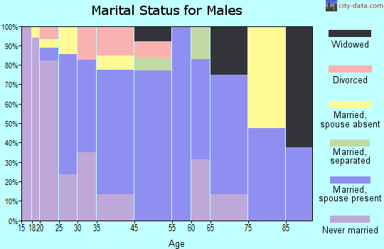 Emory-Meadow View marital status for males