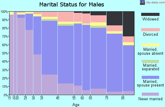 Palo Alto marital status for males