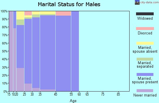 Fort Belvoir marital status for males