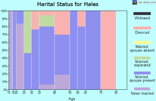 Fort Chiswell marital status for males