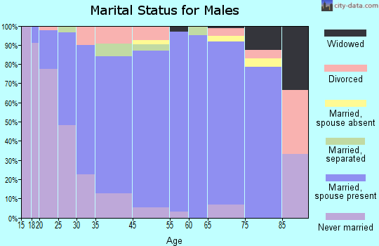 Glade Spring marital status for males