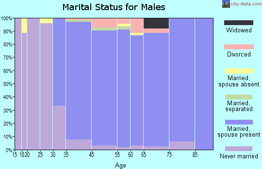 Great Falls marital status for males