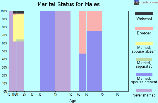 Hampden Sydney marital status for males