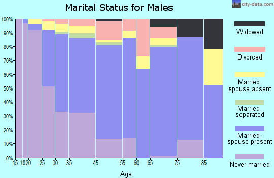 Idylwood marital status for males