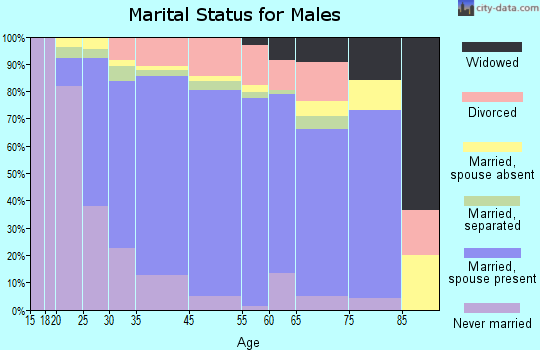 Leesburg marital status for males