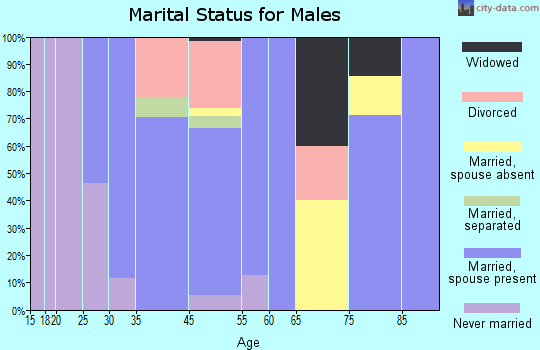 Lovettsville marital status for males
