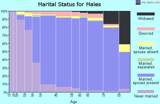 McLean marital status for males