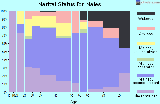 Mount Jackson marital status for males