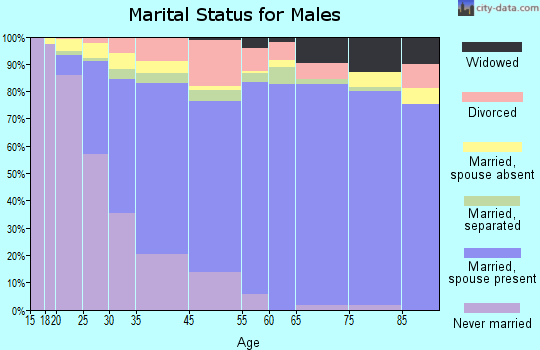 Mount Vernon marital status for males