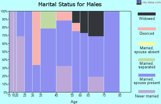 Nickelsville marital status for males