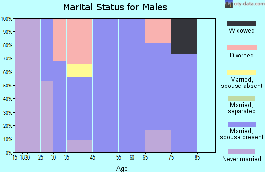 Nokesville marital status for males