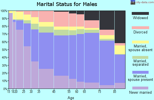 Norfolk marital status for males