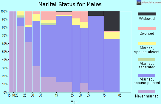 North Springfield marital status for males