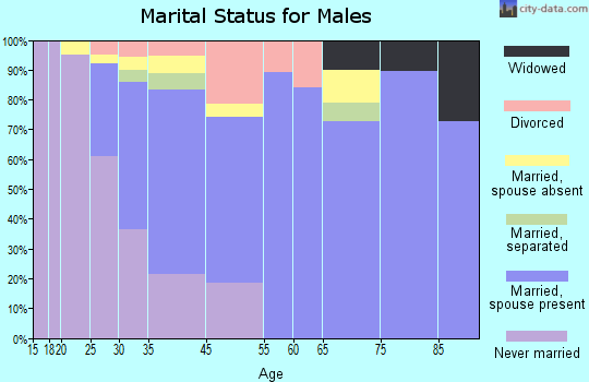 Pimmit Hills marital status for males