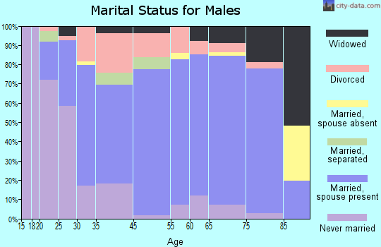 Pulaski marital status for males