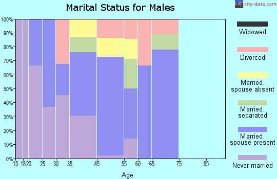 Remington marital status for males
