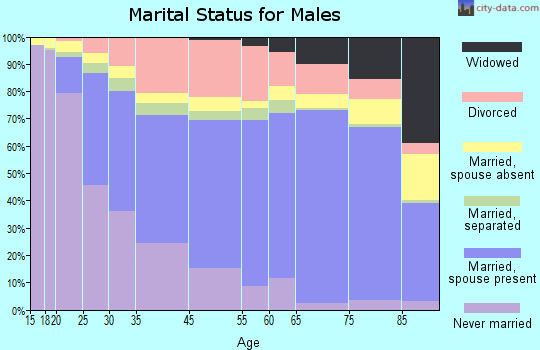 Roanoke marital status for males