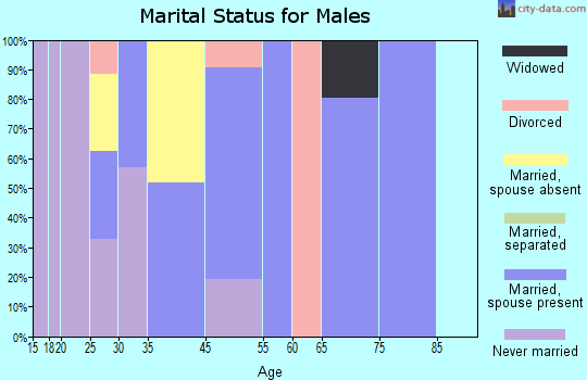 Rustburg marital status for males