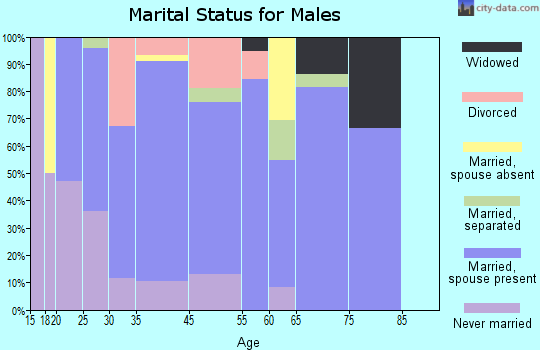 Saltville marital status for males
