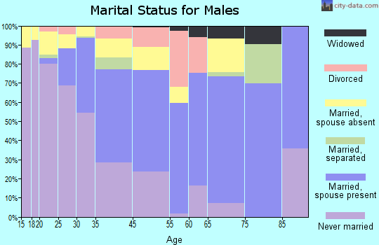 Seven Corners marital status for males