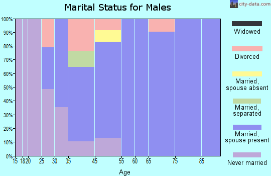 Shawsville marital status for males