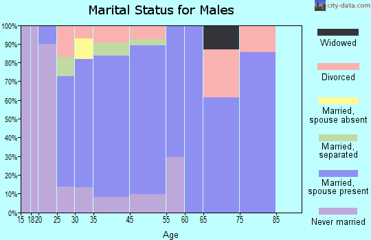 Spotsylvania Courthouse marital status for males