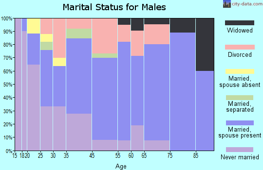 Stephens City marital status for males