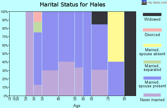 Stony Creek marital status for males