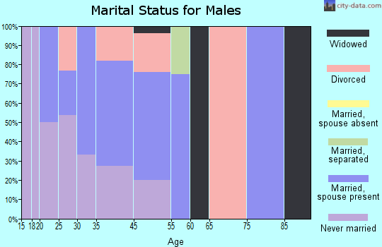 The Plains marital status for males