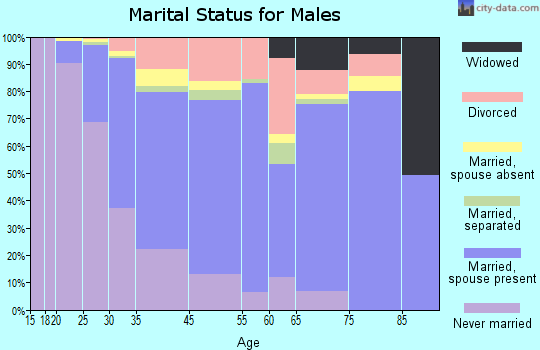 Tysons Corner marital status for males
