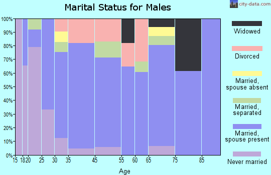 Verona marital status for males