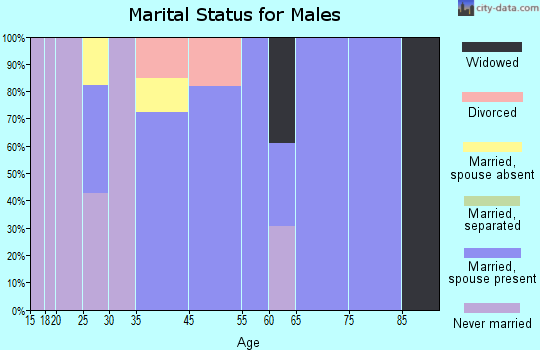 Villa Heights marital status for males
