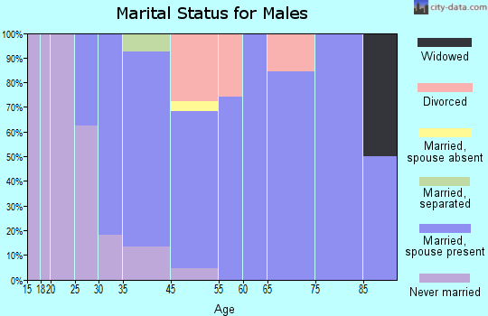 Pine Valley marital status for males