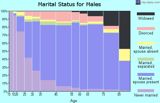 Virginia Beach marital status for males