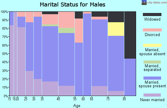 Weber City marital status for males