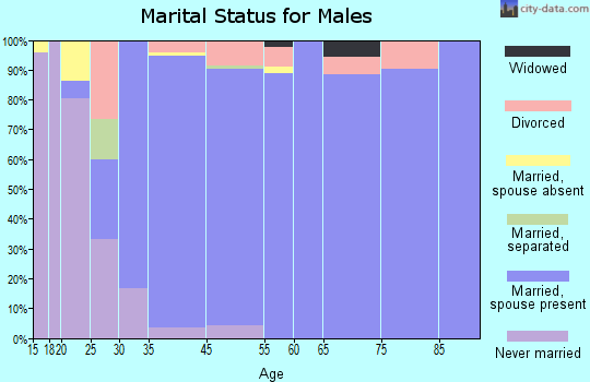 Indian Springs Village marital status for males
